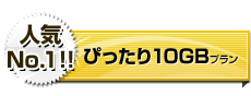 ぴったり10GBプラン